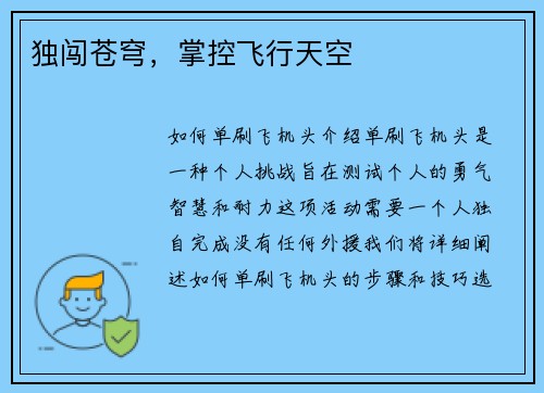独闯苍穹，掌控飞行天空